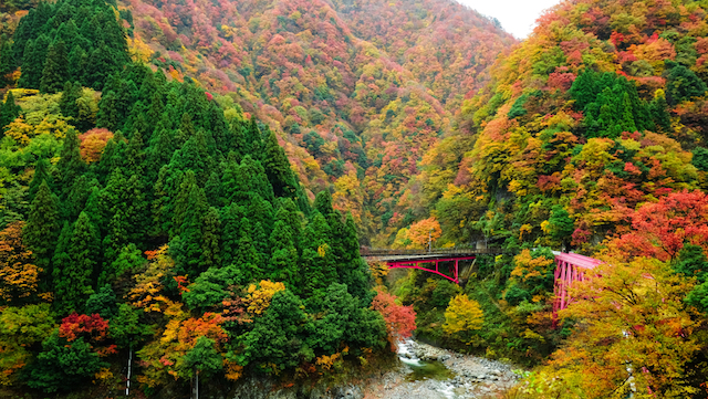 全国紅葉の絶景 トロッコ電車で揺られて行く 富山県の紅葉人気スポット 19年9月21日 エキサイトニュース