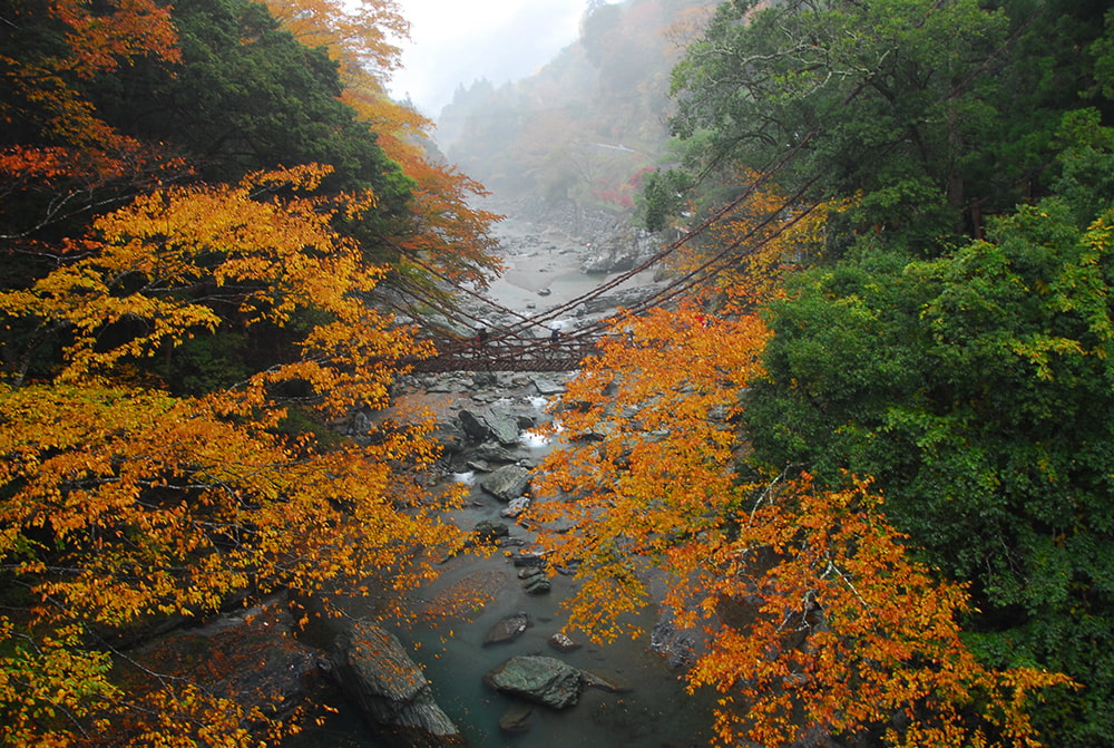 全国紅葉の絶景 平家隠れ里の秘境 徳島県の紅葉人気スポット 19年11月1日 エキサイトニュース