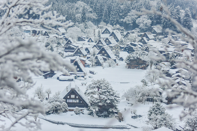 日本の冬絶景 憧れの白い風景 岐阜県の雪景色 年1月24日 エキサイトニュース