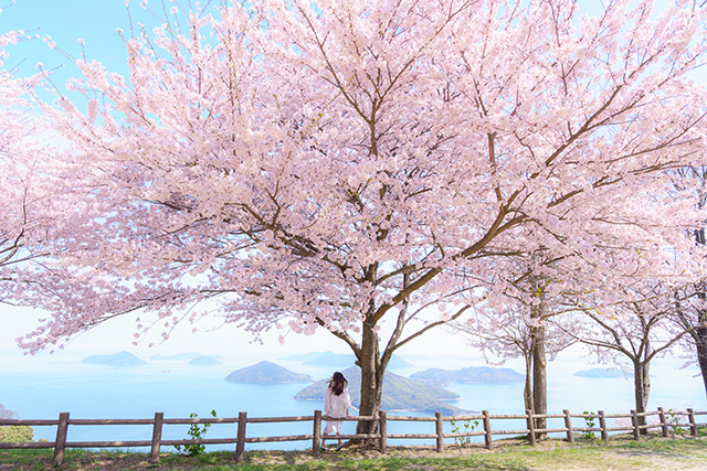 お花見特集２０２０ まとめ 春爛漫 絶景を望める 全国のお花見スポット３６選 年3月29日 エキサイトニュース