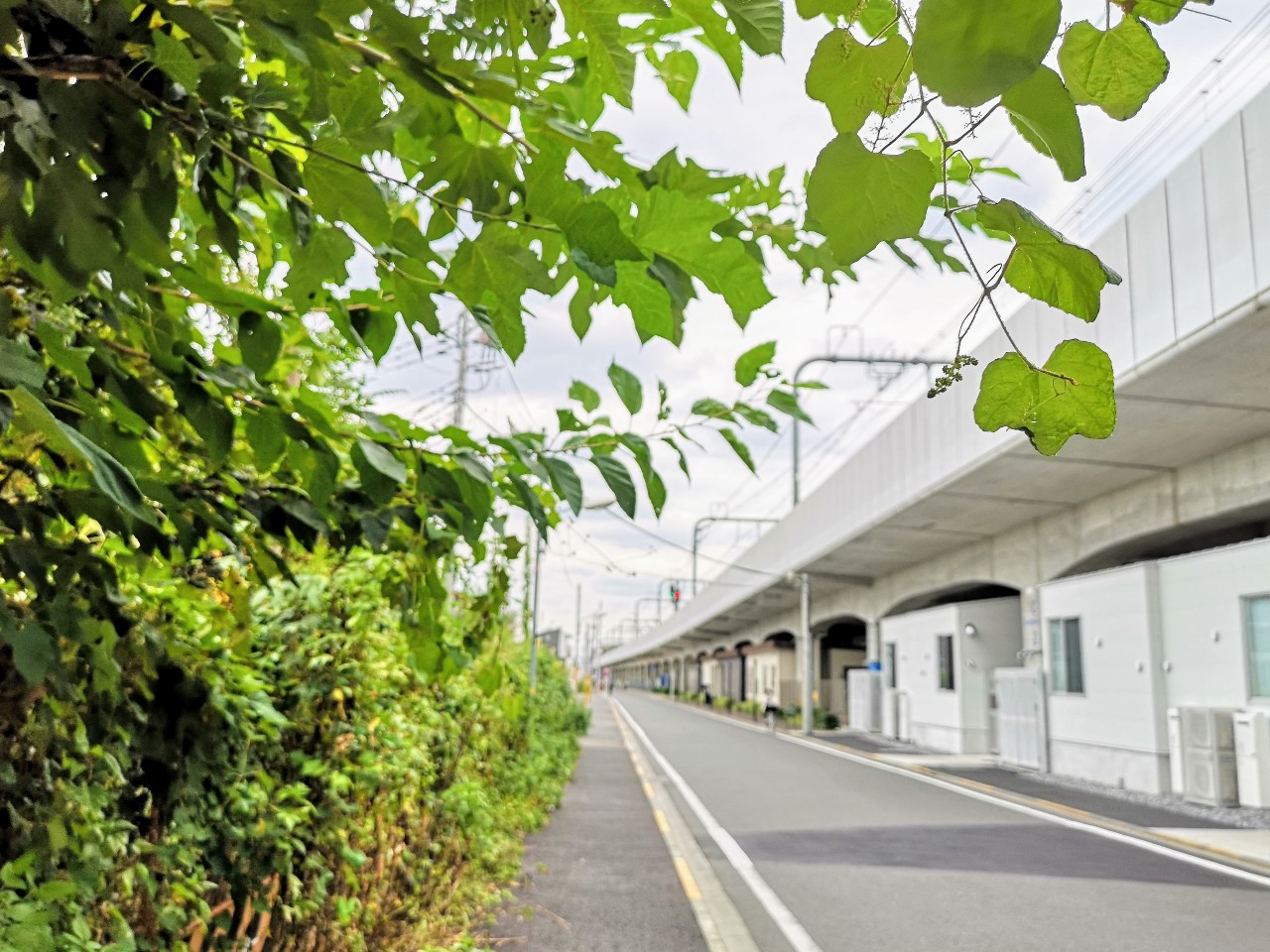 東京さんぽ 高架下で幻のシュークリーム レアなガレット 人気のスコーンと出合う武蔵境 武蔵小金井 21年1月2日 エキサイトニュース 4 8