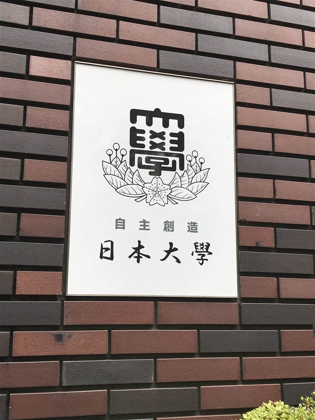 ラグビー部暴行コーチの 情熱 はただのノイズ 日大はヤクザが本当に背後にいるのか調査すべき 2020年8月8日 エキサイトニュース