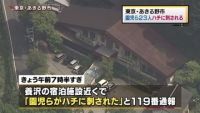 東京・あきる野市で園児ら23人がハチに刺される