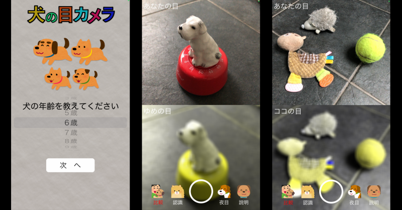 愛犬の視覚をリアルタイムで疑似体験 スマホアプリ 犬の目カメラ が3月上旬にリリース 22年3月5日 エキサイトニュース