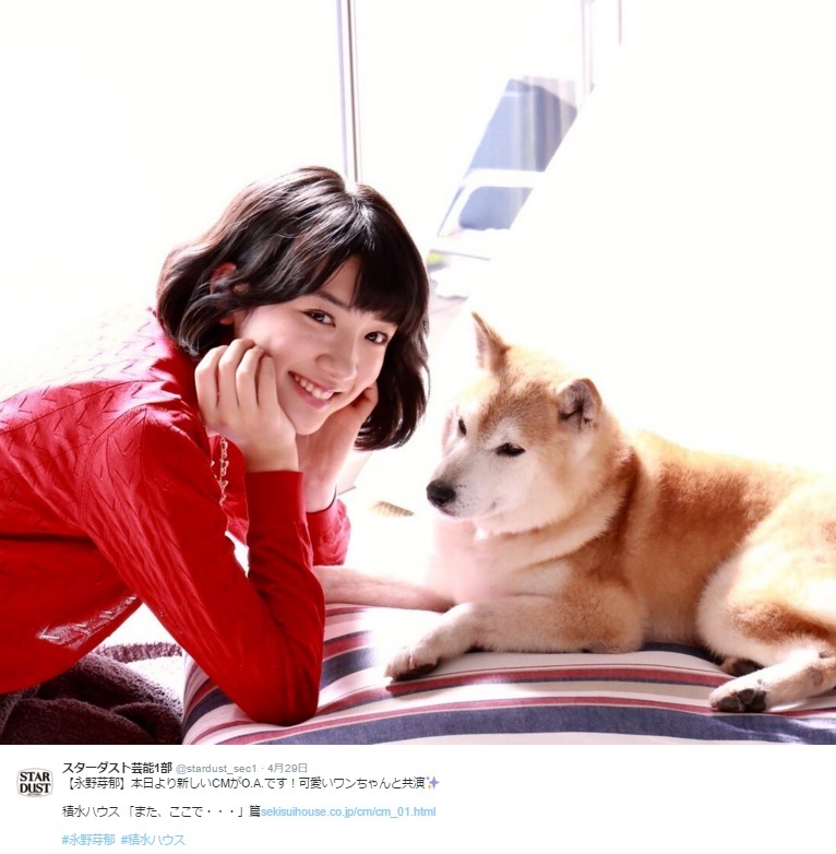娘と愛犬が心の会話 永野芽郁が出演する新cmにほっこり 16年4月30日 エキサイトニュース