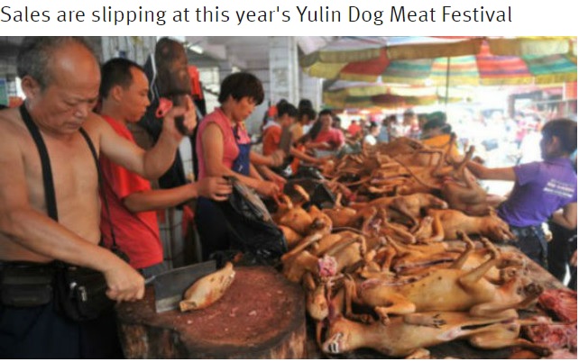 中国 犬肉祭 始まる 今年は売り上げ低調か 16年6月23日 エキサイトニュース