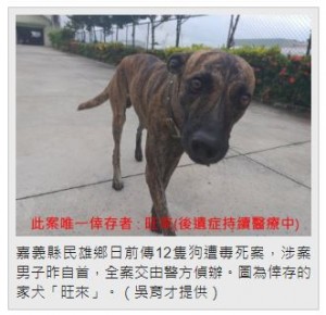 農作物を荒らされ腹が立った 農家の男 犬12匹を毒殺 台湾 19年8月15日 エキサイトニュース