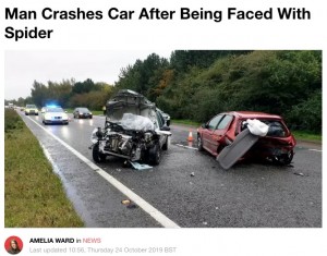 蜘蛛が車内に 焦ったドライバー 退治しようとして衝突事故 英 19年10月28日 エキサイトニュース