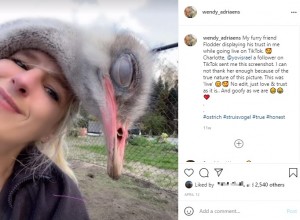 ダチョウと心交わす女性 攻撃されても 正しく育てれば決して危険ではない ベルギー 動画あり 21年6月30日 エキサイトニュース 2 2