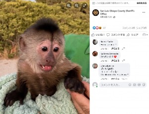 動物園から無言の通報に駆けつけた保安官 携帯を見つけたサルの仕業に 責めることはできませんね 米 動画あり 22年8月19日 エキサイトニュース