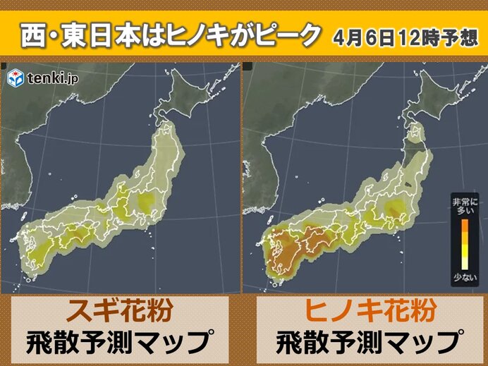 花粉情報 九州 関東はヒノキがピーク 東北はスギが大量飛散 ピークいつまで 22年4月5日 エキサイトニュース