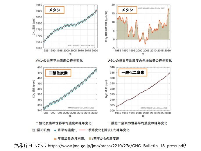 中島健人 ペアリング