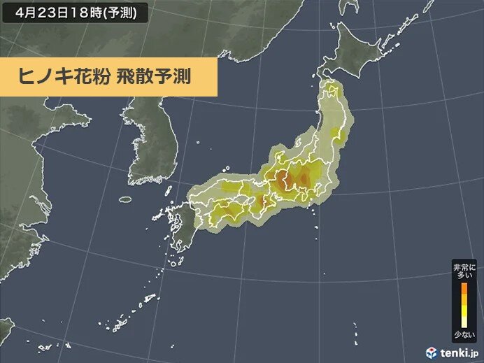 花粉シーズン終盤 あす土曜日は東京で 多い 予想 いつまで続く 22年4月22日 エキサイトニュース