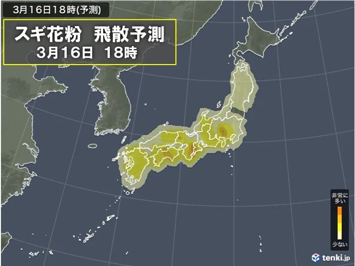 花粉情報 週末は気温上昇 花粉が大量飛散 3月下旬はヒノキ花粉が続々とピークに 2024年3月16日 エキサイトニュース