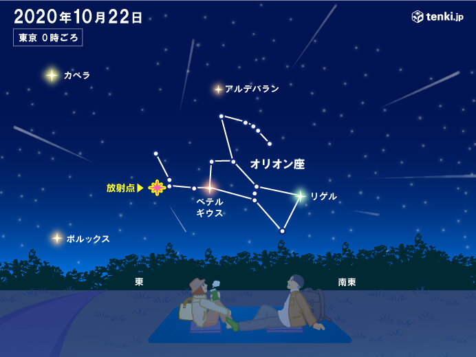 21日夜 オリオン座流星群がピークに エキサイトニュース