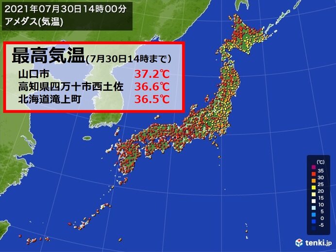 最高気温　北海道でも体温並み　1週間連続で猛暑日の所も (2021年7月30日) - Vimarsana News