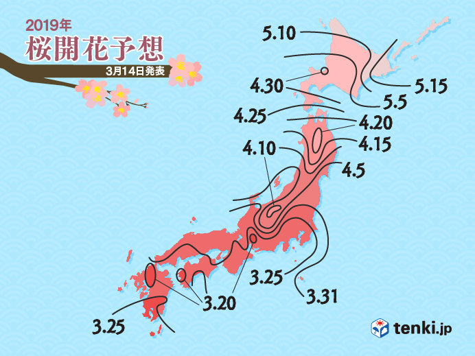 桜前線　来週スタート　東京も　日本気象協会発表