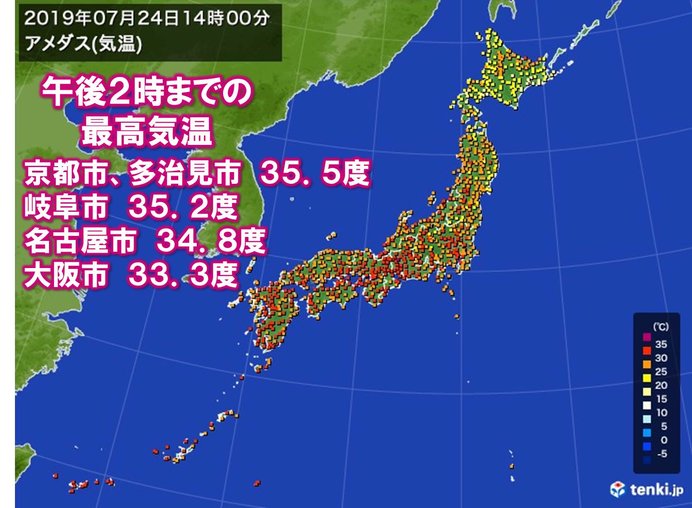 岐阜県多治見市のニュース 社会 57件 エキサイトニュース