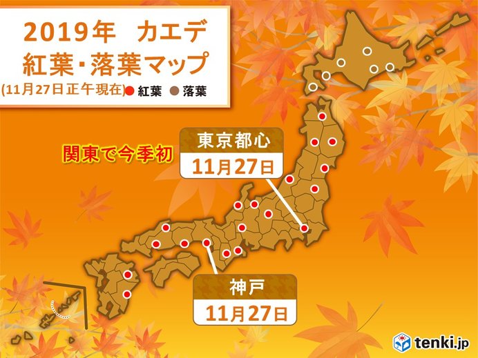 東京都心でカエデが見ごろに 関東で最も早く 19年11月27日 エキサイトニュース