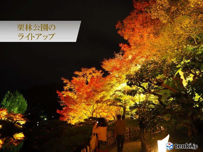 四国 栗林公園の紅葉 今週末が見頃 19年11月29日 エキサイトニュース