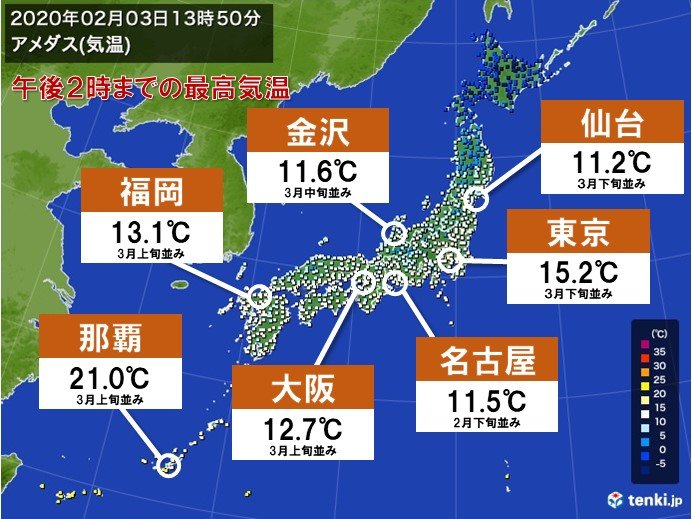 ポカポカ陽気 春の知らせ相次ぐ 沖縄で桜満開 年2月3日 エキサイトニュース