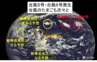 台風5号に6号も 台風のたまごも次々