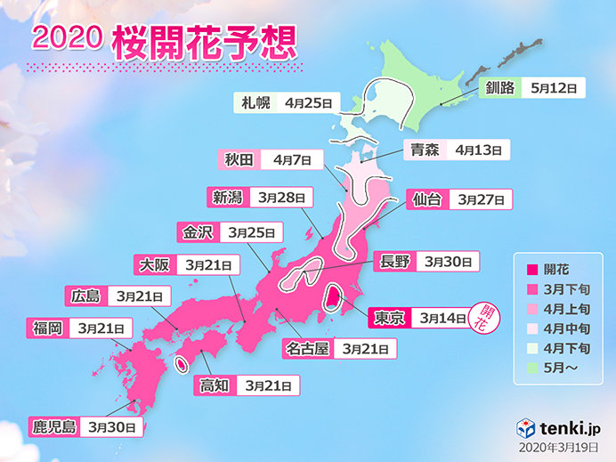 桜の開花 満開はいつ 日本気象協会 桜開花予想 年3月19日 エキサイトニュース