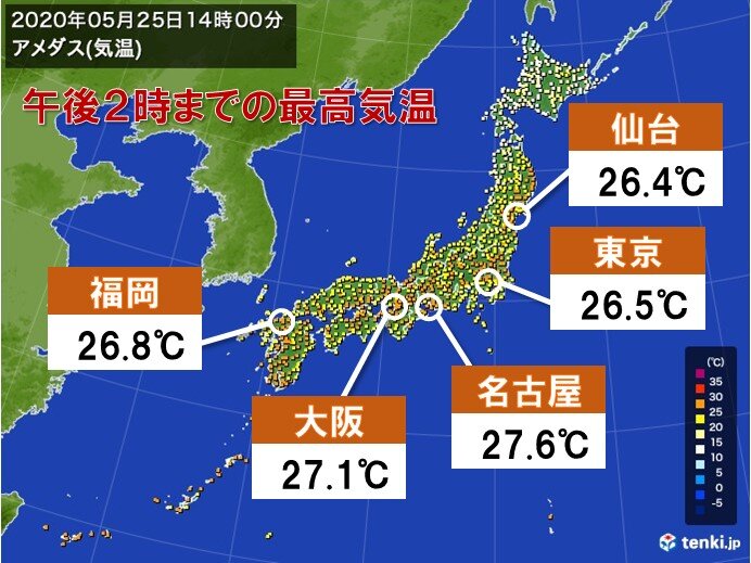 鹿児島県指宿市のニュース 社会 11件 エキサイトニュース