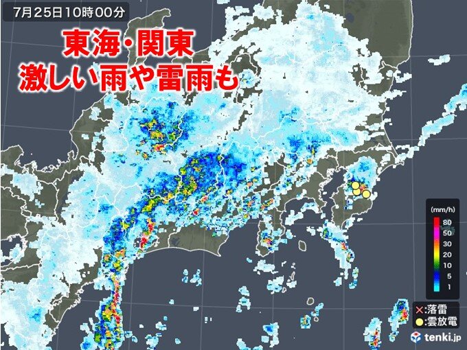 東海や関東に発達した雨雲や雷雲 激しい雨が降っているところも エキサイトニュース
