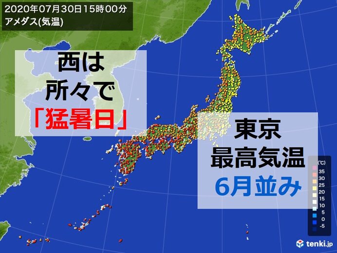 高知県四万十市のニュース 社会 37件 エキサイトニュース