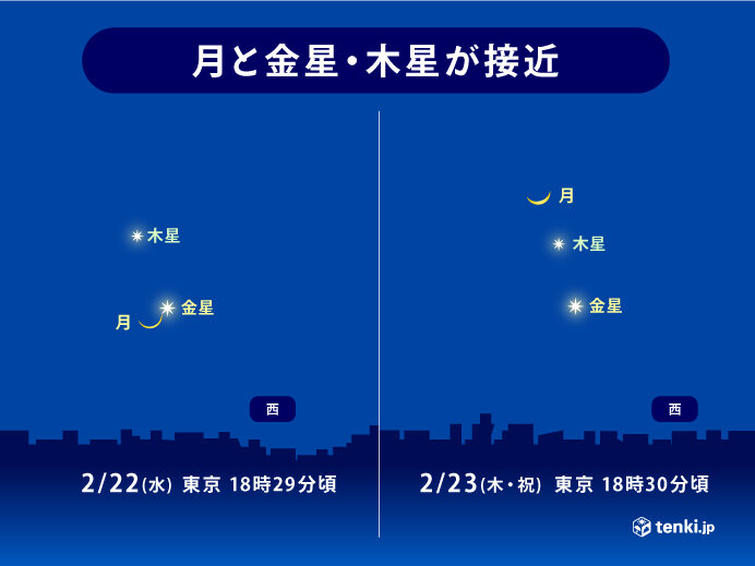 プレミアム様専用 2/23 18時まで-