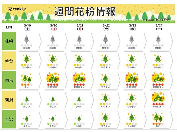 花粉情報 スギ花粉からヒノキ花粉へ 雨のあと大量飛散 ピーク終了時期の見通し 22年3月18日 エキサイトニュース