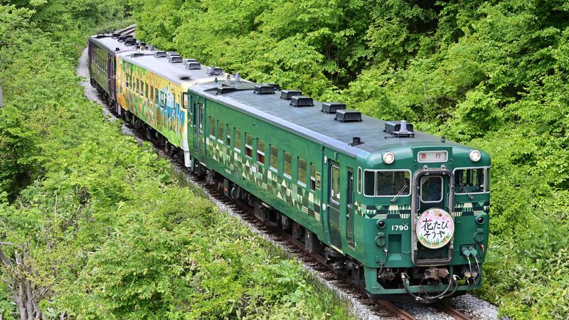 観光列車「花たび そうや」今年も運転 最北の春と花景色を車窓から満喫