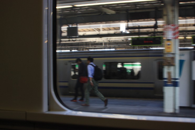 横須賀線 グリーン車 スーツケース