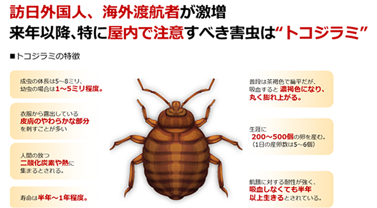 身近な場所に潜むトコジラミの猛威、金も時間も信用も失う前に駆除を (2019年5月30日) - エキサイトニュース