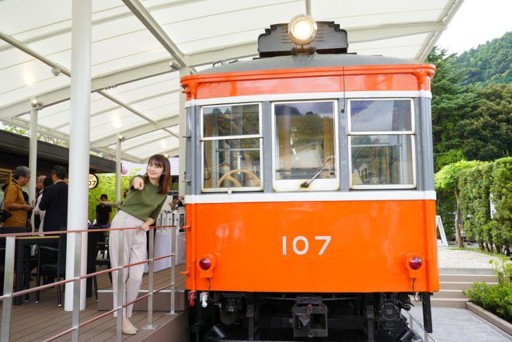 箱根登山鉄道 ストア キャリーバッグ