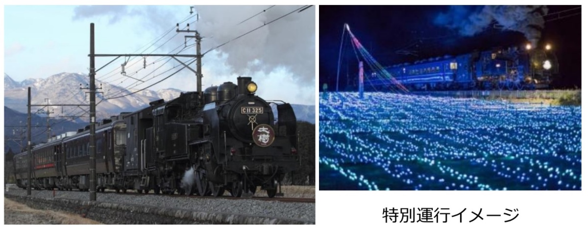 SL大樹にサンタが登場！？クリスマス限定イベントや幻想的な
