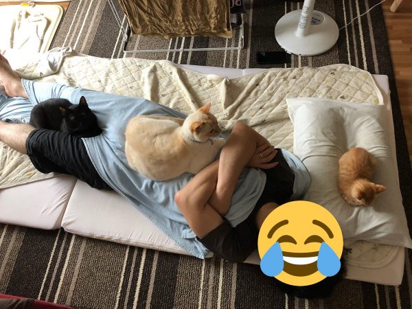 寝ているお父さんの上に猫さんが3匹 枕もうばわれ 寝不足のご様子が大変そう 19年7月2日 エキサイトニュース