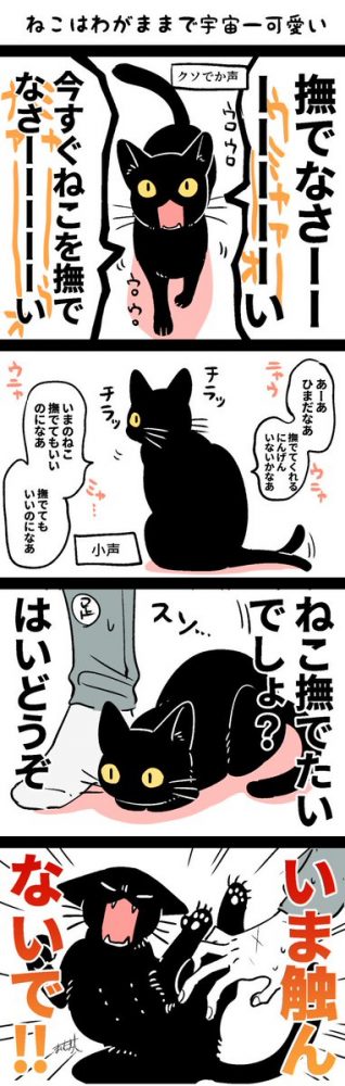 ねこは宇宙一かわいい わがままで甘えん坊な猫さんのかわいらしさを称える漫画に共感の嵐 19年11月15日 エキサイトニュース