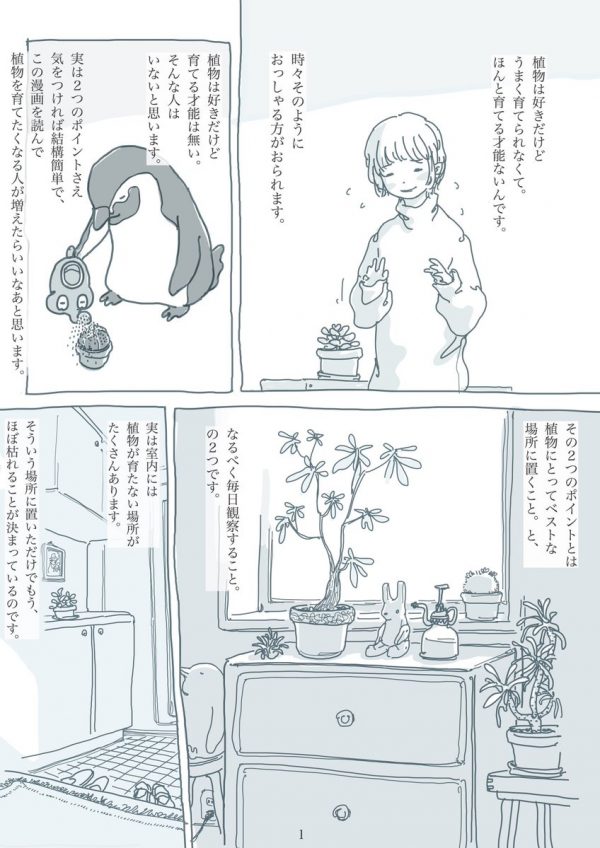 園芸家が漫画で教える 観葉植物を上手に育てる2つのポイント が意外とシンプルだった 年3月19日 エキサイトニュース