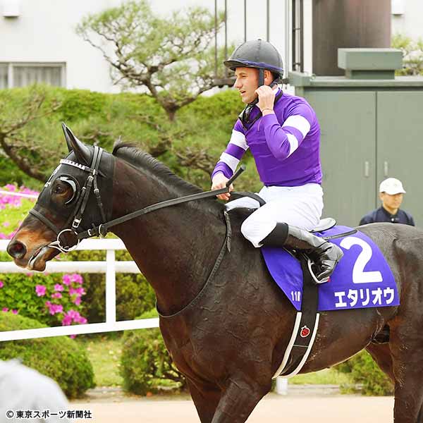 夏競馬が変わる 新クラス分け攻略法 降級制度廃止でどうなる 2019年5月31日 エキサイトニュース