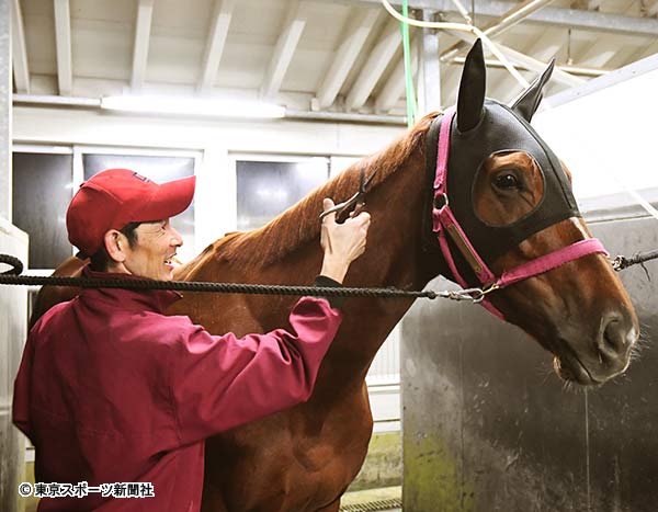 エリザベス女王杯 ラッキーライラック １年８か月ぶり美酒へ 惜敗続きの謎 解けた 19年11月8日 エキサイトニュース