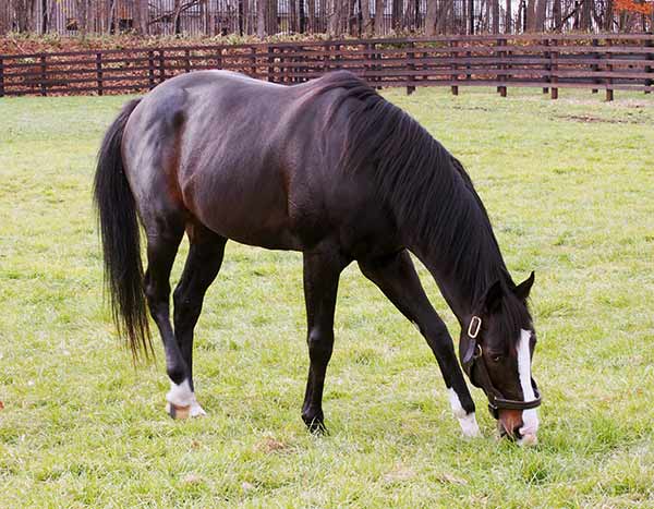 赤城真理子の聖地巡礼 イスラボニータを見て 脚が軽い という難しい表現が分かった気がする 年4月3日 エキサイトニュース