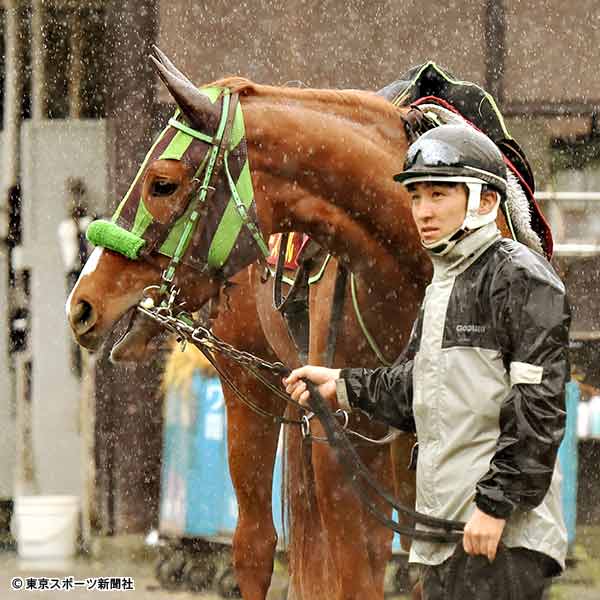 オークス 東西記者徹底討論 我慢利くホウオウピースフルか断然の距離適性リリーピュアハートか 年5月日 エキサイトニュース