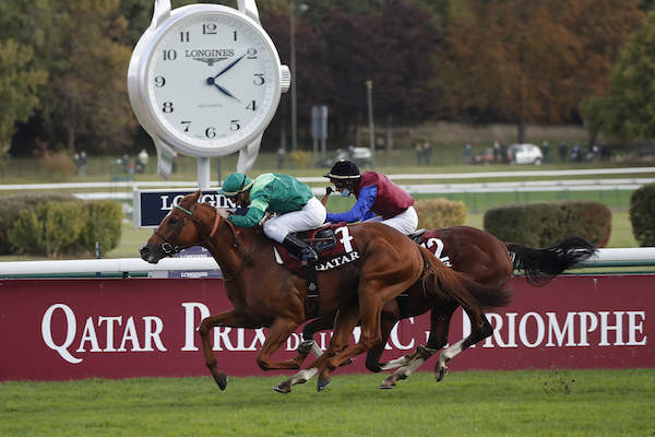 楽天最安値に挑戦】 競馬 C.デムーロ騎手 サイン入り 実使用