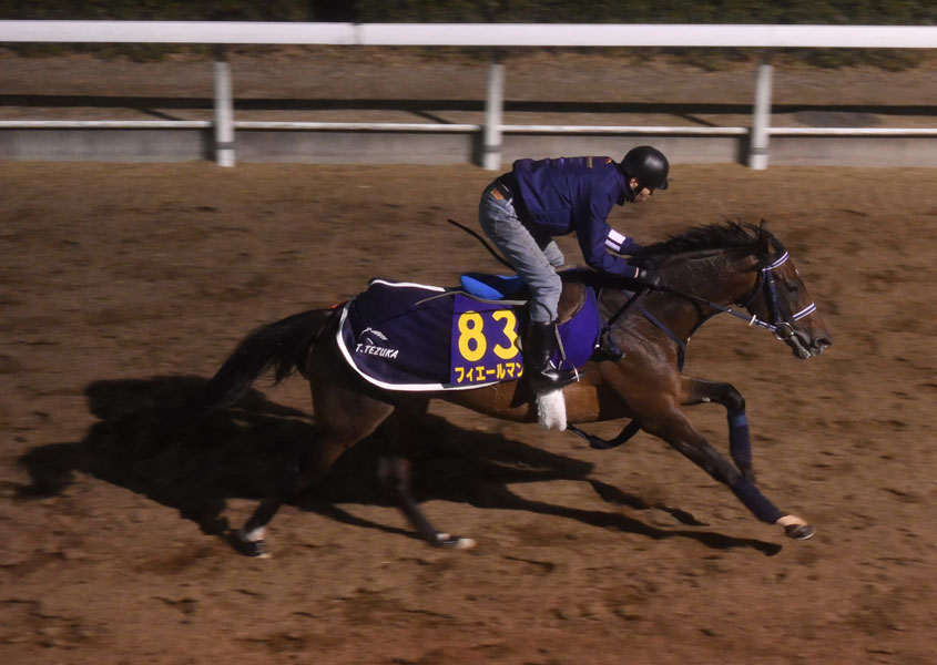 【有馬記念】フィエールマン順調アピール「馬体は十分にでき ...