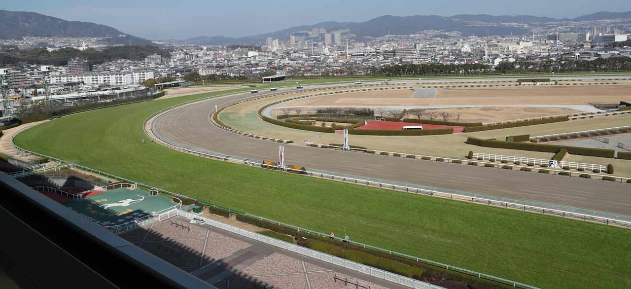 ｊｒａ ３月１３日から阪神 中京競馬場において有観客開催が再開 緊急事態宣言解除により 21年2月28日 エキサイトニュース