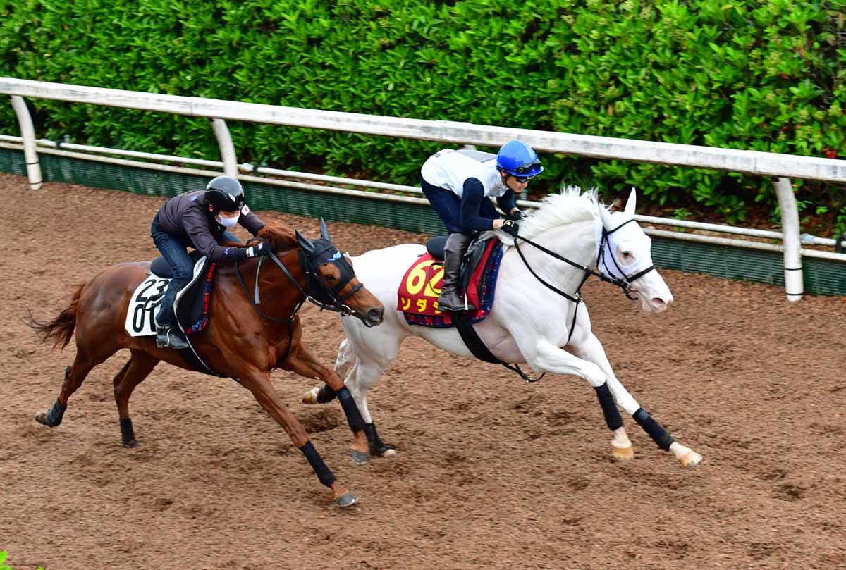 オークス ソダシ 清純派２冠へ汚れなき先着 吉田隼 動きはすごく良かった 21年5月19日 エキサイトニュース