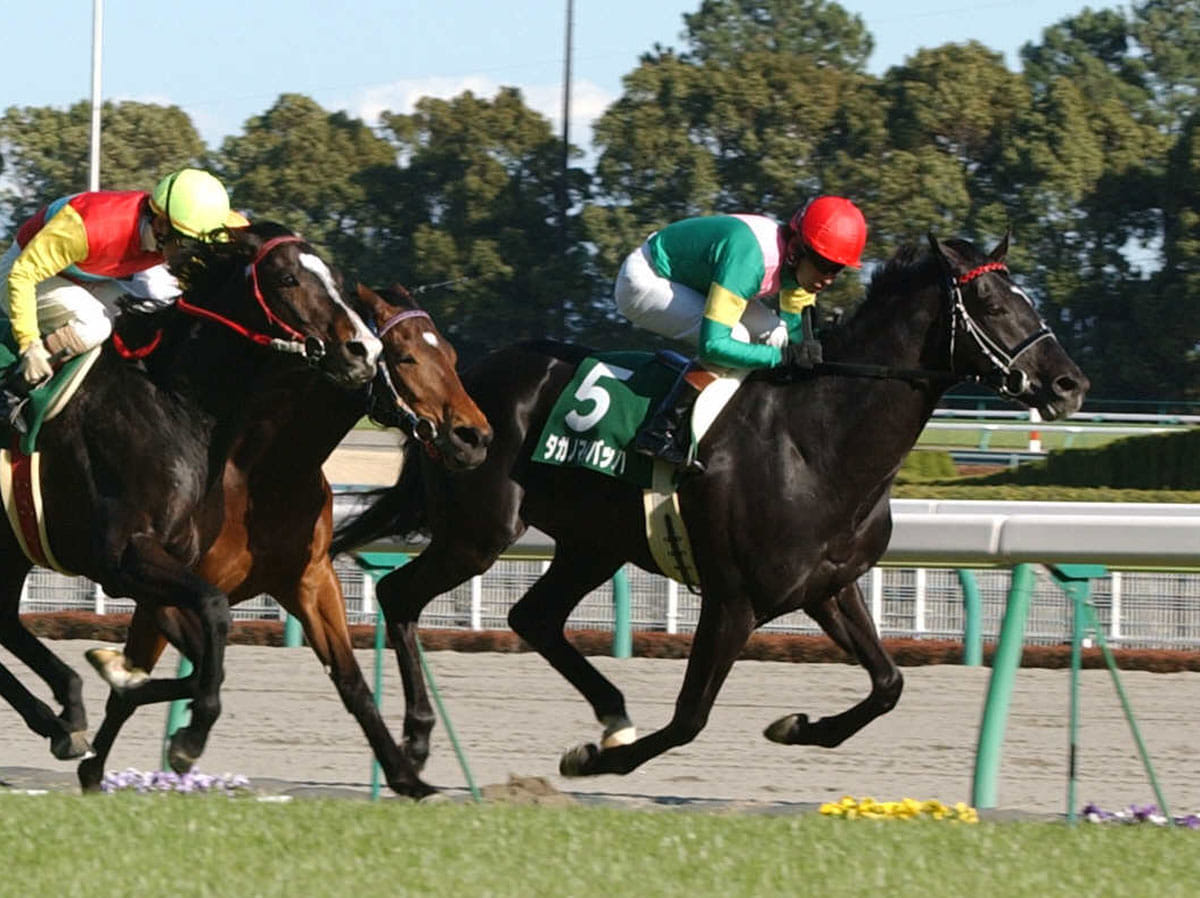 中京記念 テイオーの代わりになるわけではないけど タガノマイバッハが厩舎唯一の重賞逃げ切りｖ 21年7月16日 エキサイトニュース