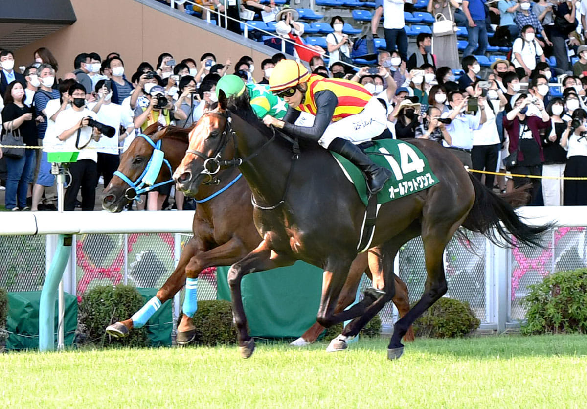 アイビスｓｄ オールアットワンスが１５年ぶり３歳馬ｖ 石川 彼女のスピードを信じるだけでした 2021年7月25日 エキサイトニュース